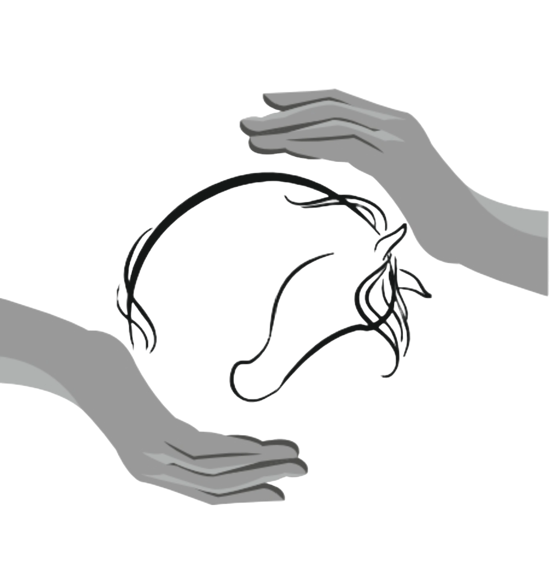 World Equestrian Protection Logo